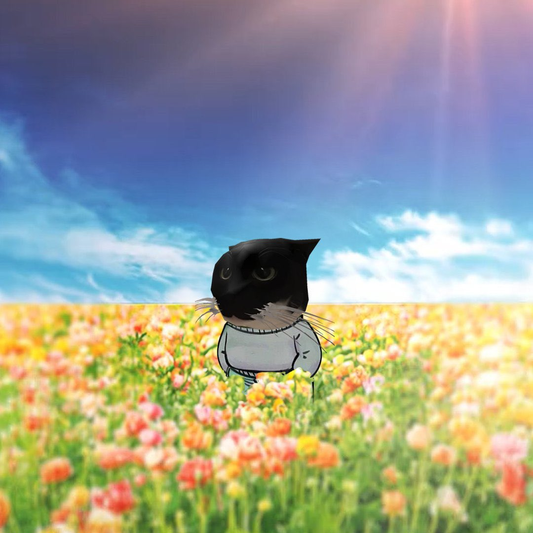 Maxwell's head on a small drawn body in a field of flowers