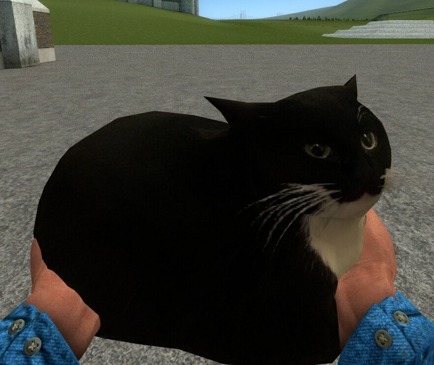 Maxwell the cat held in both hands in Garry's Mod